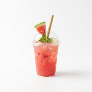 Watermelon Mojito